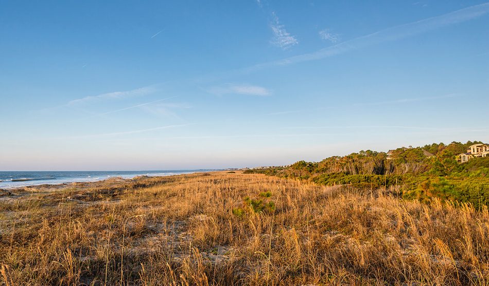 How to Choose the Perfect Site for Your Home Build
