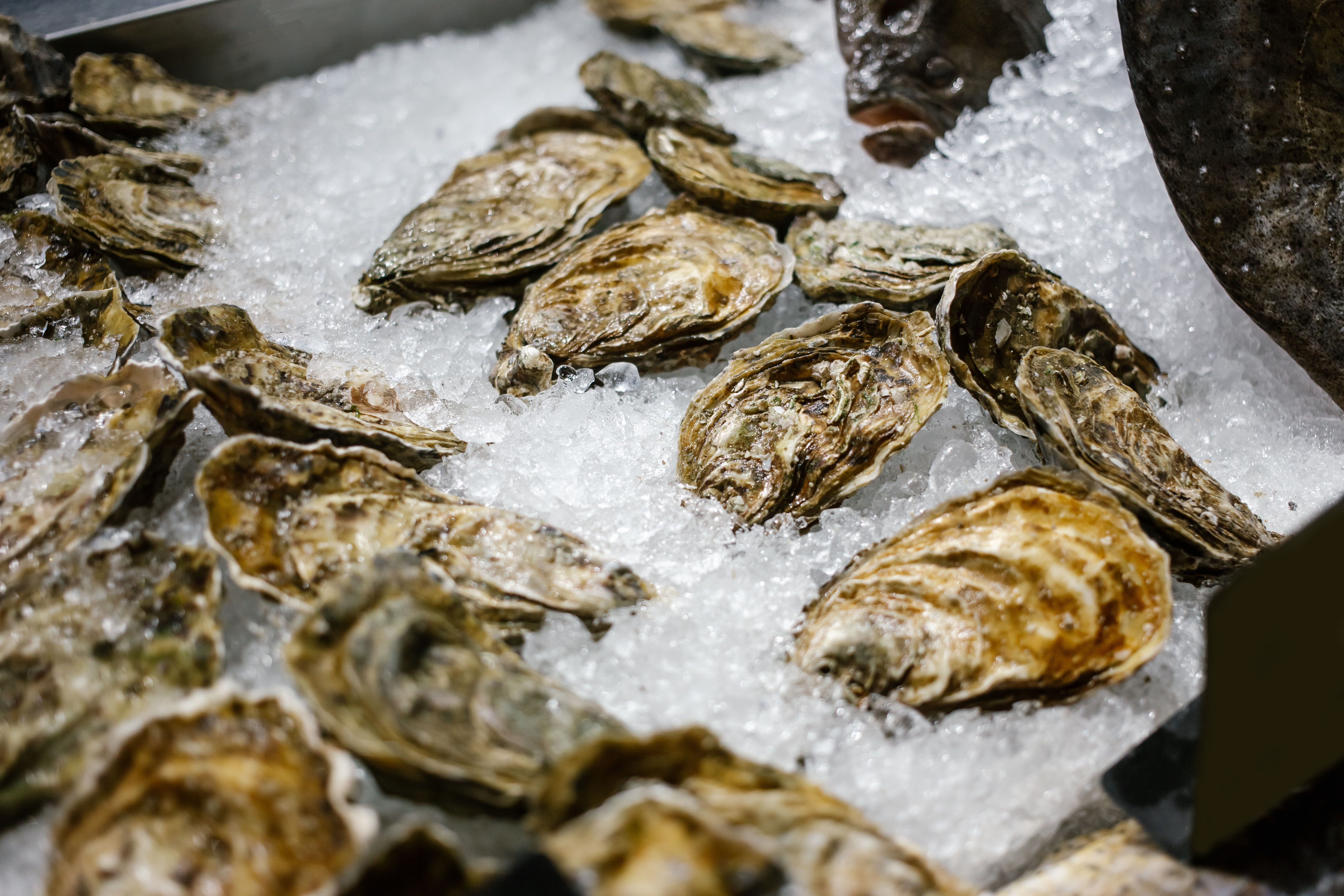 A Foodie’s Guide to Kiawah Island