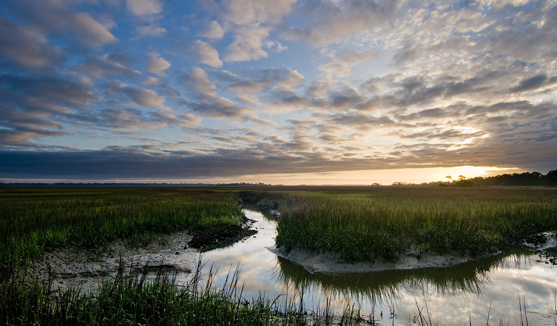 Neighborhood Spotlight: The Estuary