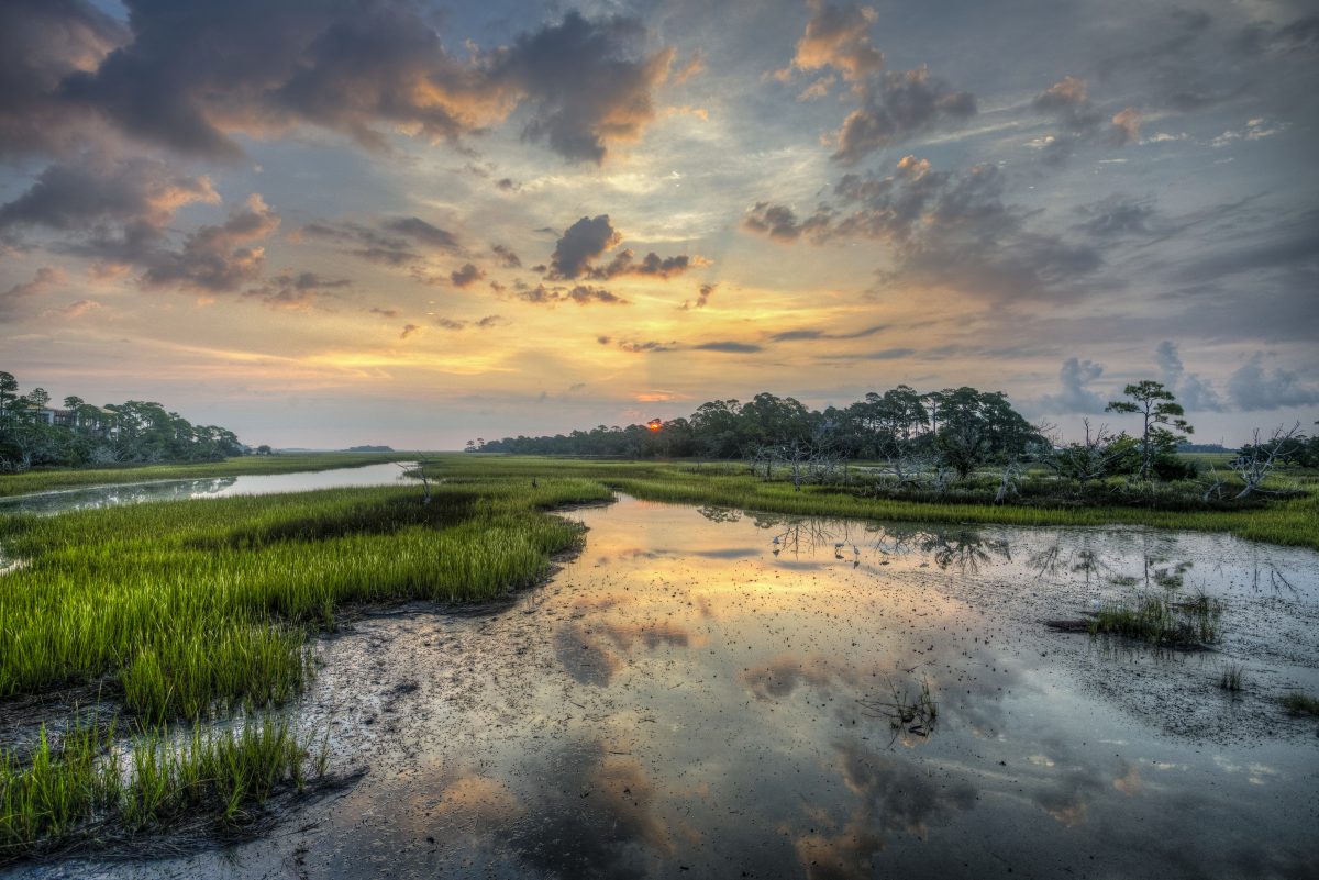 A Guide to Exploring Kiawah Island’s Waterways