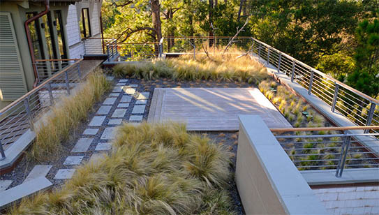 Top landscape trends come to Kiawah’s eastern edge