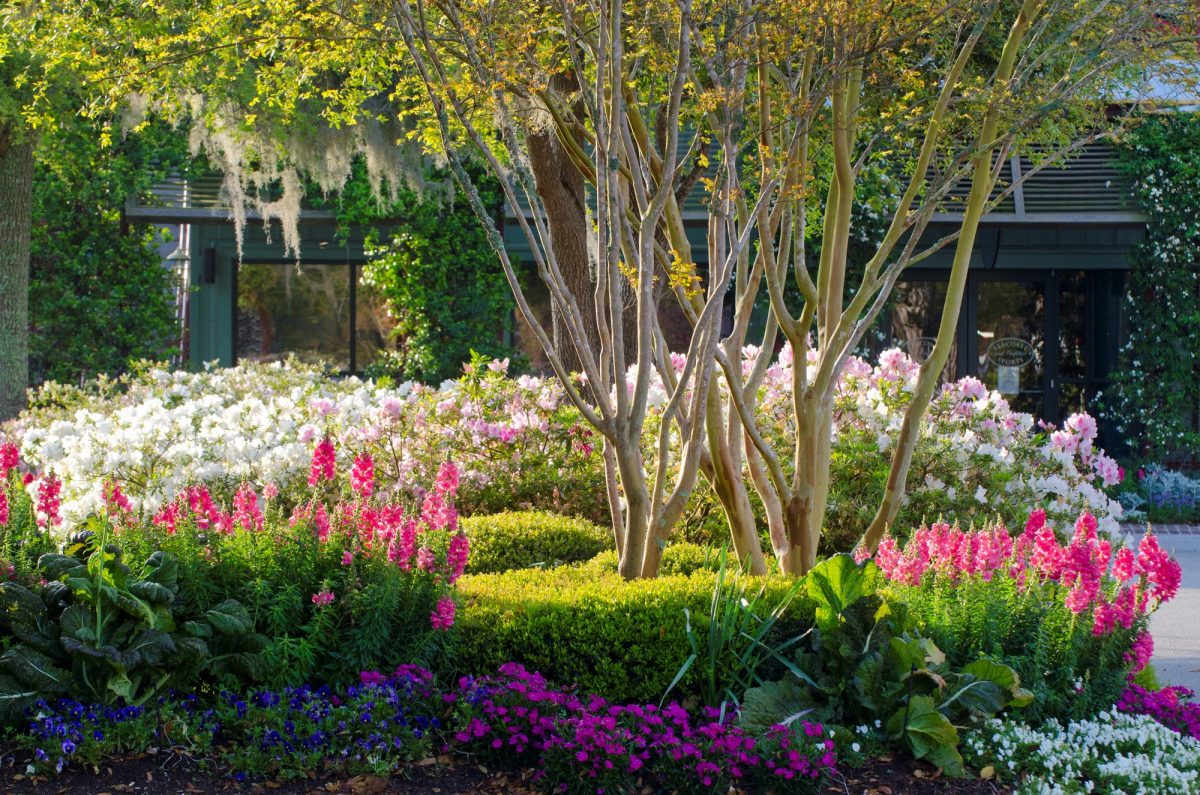 Your Guide to the 5 Best Botanical Gardens Around Kiawah Island