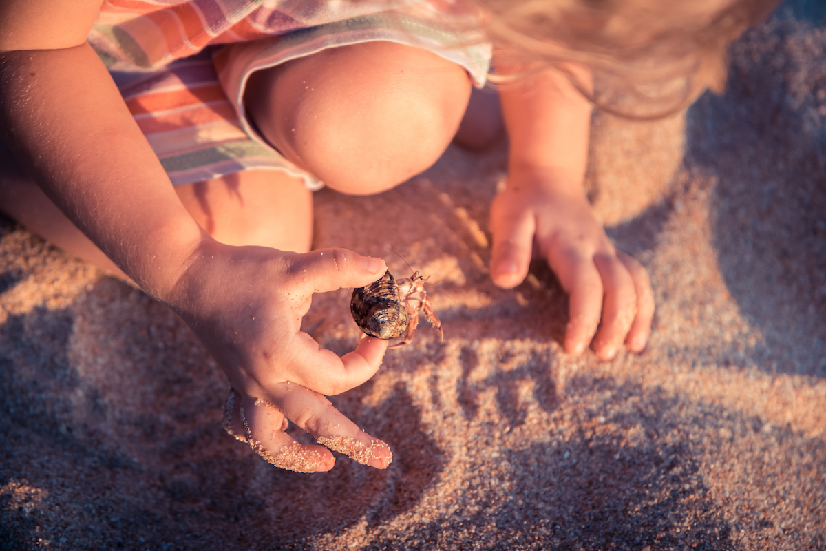 Discover Native Wildlife at the Heron Park Nature Center
