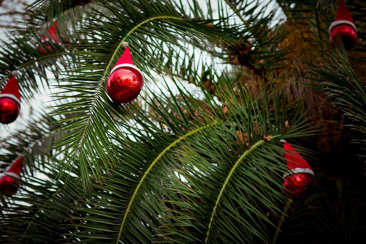 5 Reasons To Spend The Holidays on Kiawah Island
