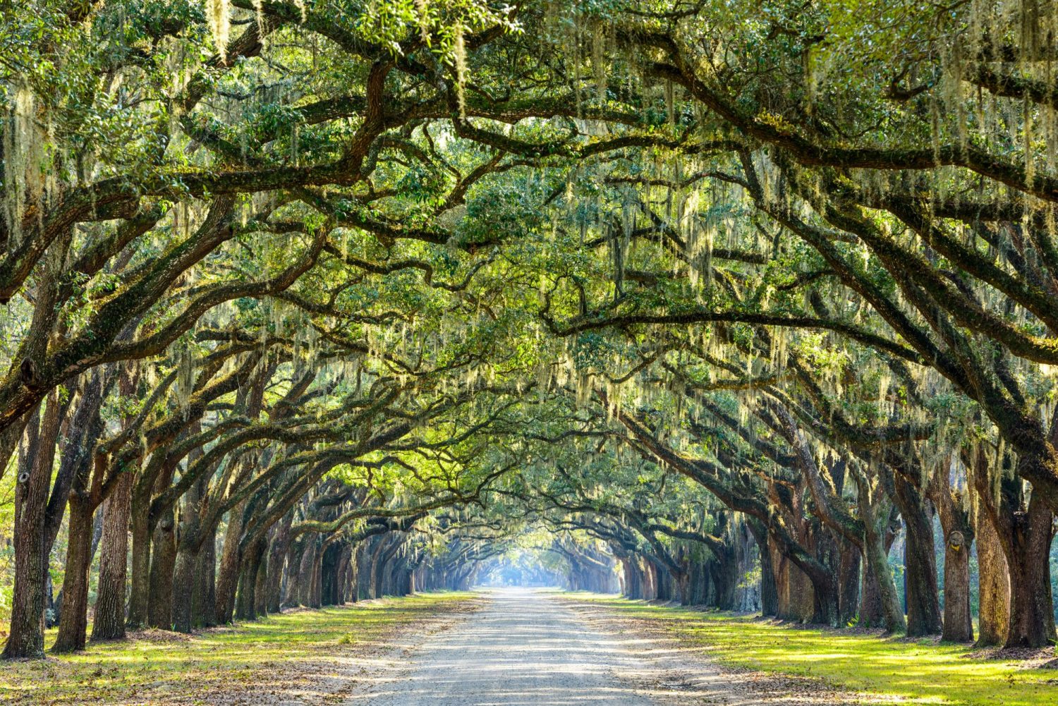 3 Day Trips for Kiawah Island Residents