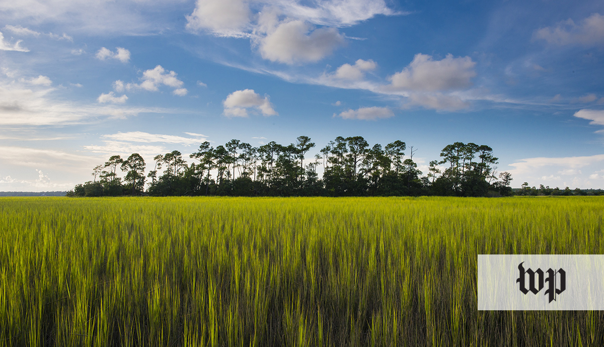 PRESS: Kiawah Island’s Conservation Efforts featured in The Washington Post